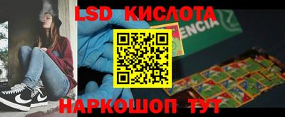 a pvp Камышлов