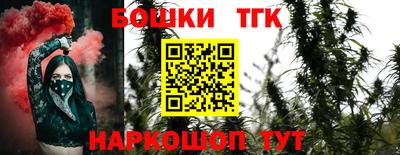 a pvp Камышлов