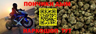 a pvp Камышлов