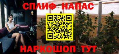 a pvp Камышлов
