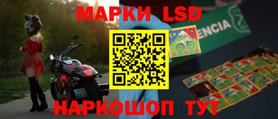 a pvp Камышлов