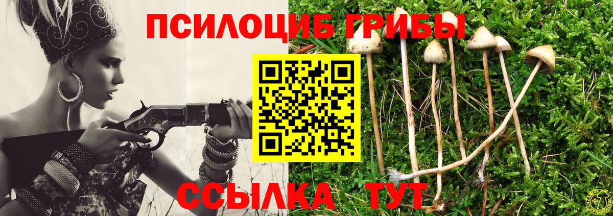 цены наркотик  Вход с VPN  Новосибирск  Псилоцибиновые грибы мухоморы 